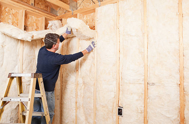 Professional Insulation Services in Village Of Oak Creek, AZ